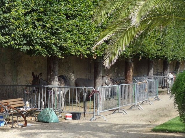 fete ane 2018 (11).JPG